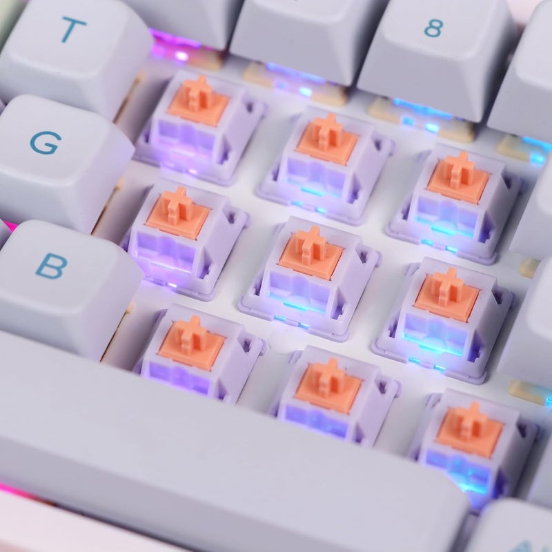 EPOMAKER Mechanical Switches Set for Mechanical Gaming Keyboard, 100 Pieces, Pre-Lubed Switch, Linear/Tactile/Clicky, 5-Pin Creamy Switch with MX Keycaps (Wisteria(Tactile)) - Image 4